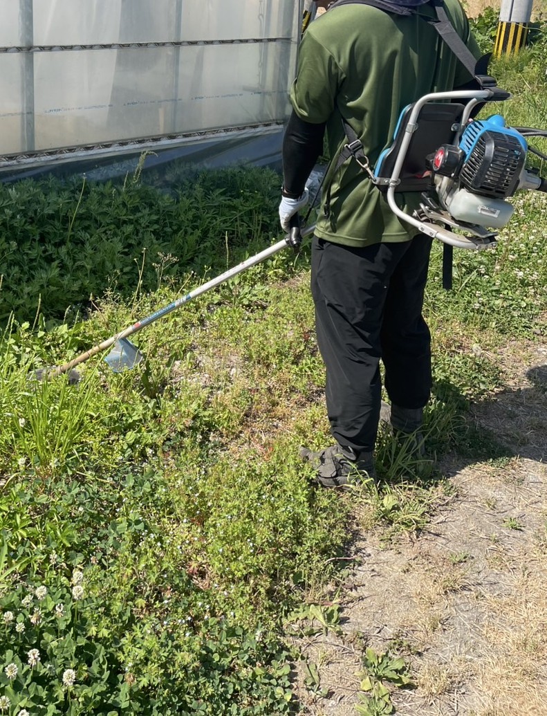利用者が清掃・環境整備を行う様子